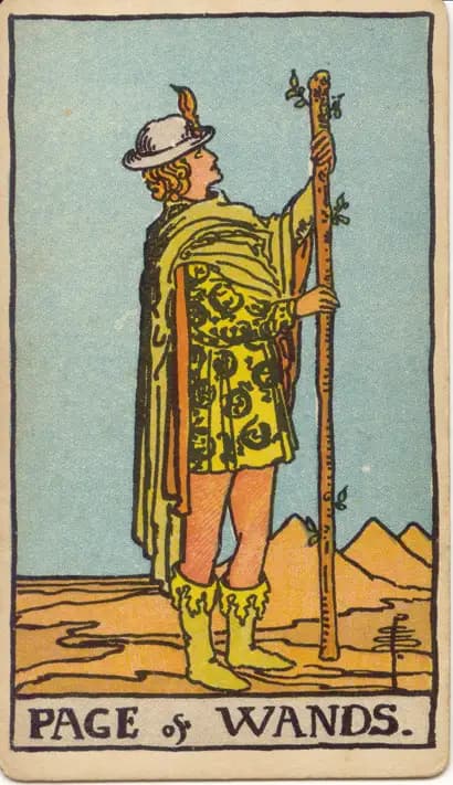 Tarot card